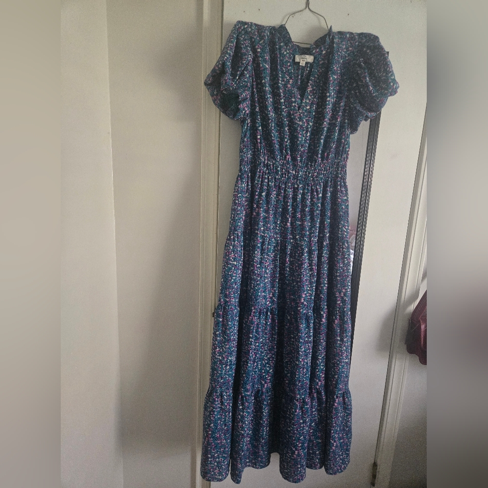 Entro Blue and Pink Floral Maxi Dress